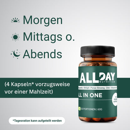 ALL IN ONE | ALLDAY