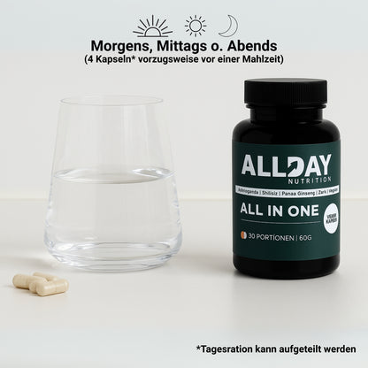 ALL IN ONE | ALLDAY