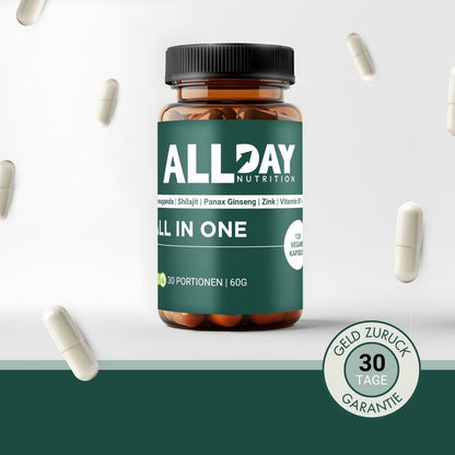 ALL IN ONE | ALLDAY