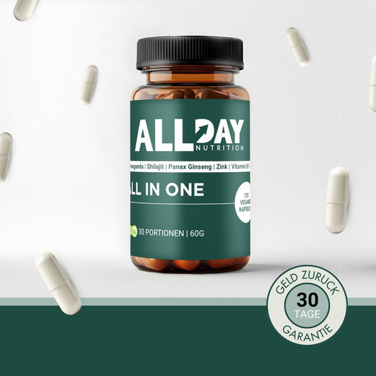 ALL IN ONE | ALLDAY